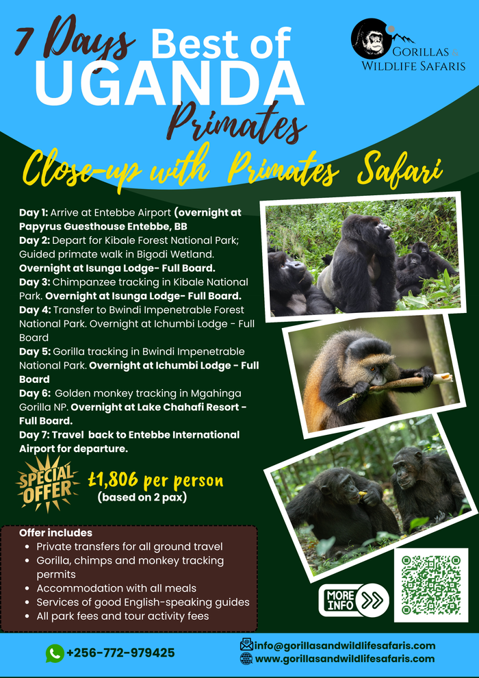 Uganda All Primate Tour - Gorillas, Chimps, Golden Monkeys - 7 Days