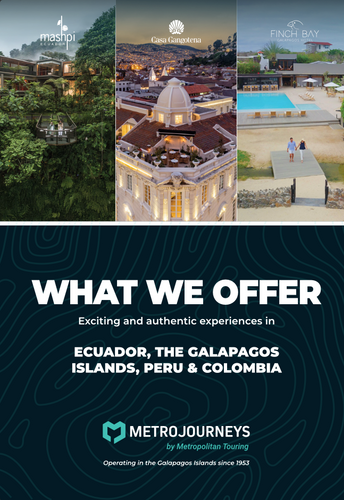 What we offer