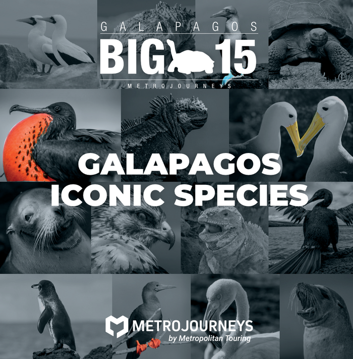 Galapagos Big 15