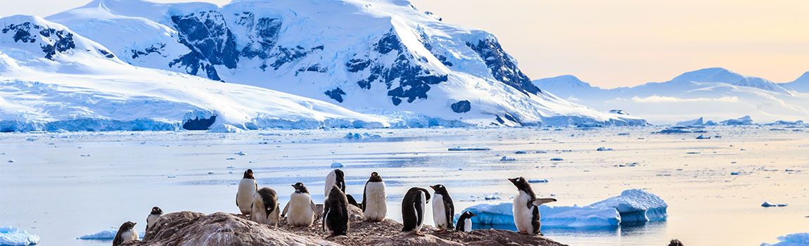 Polar Routes