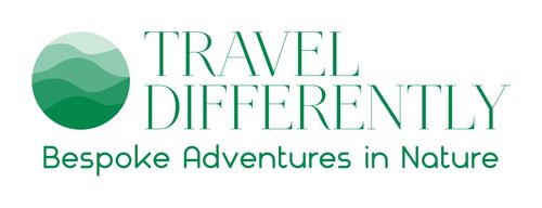 Travel Differently