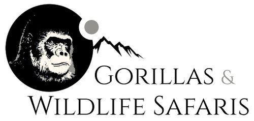 Gorillas and Wildlife Safaris