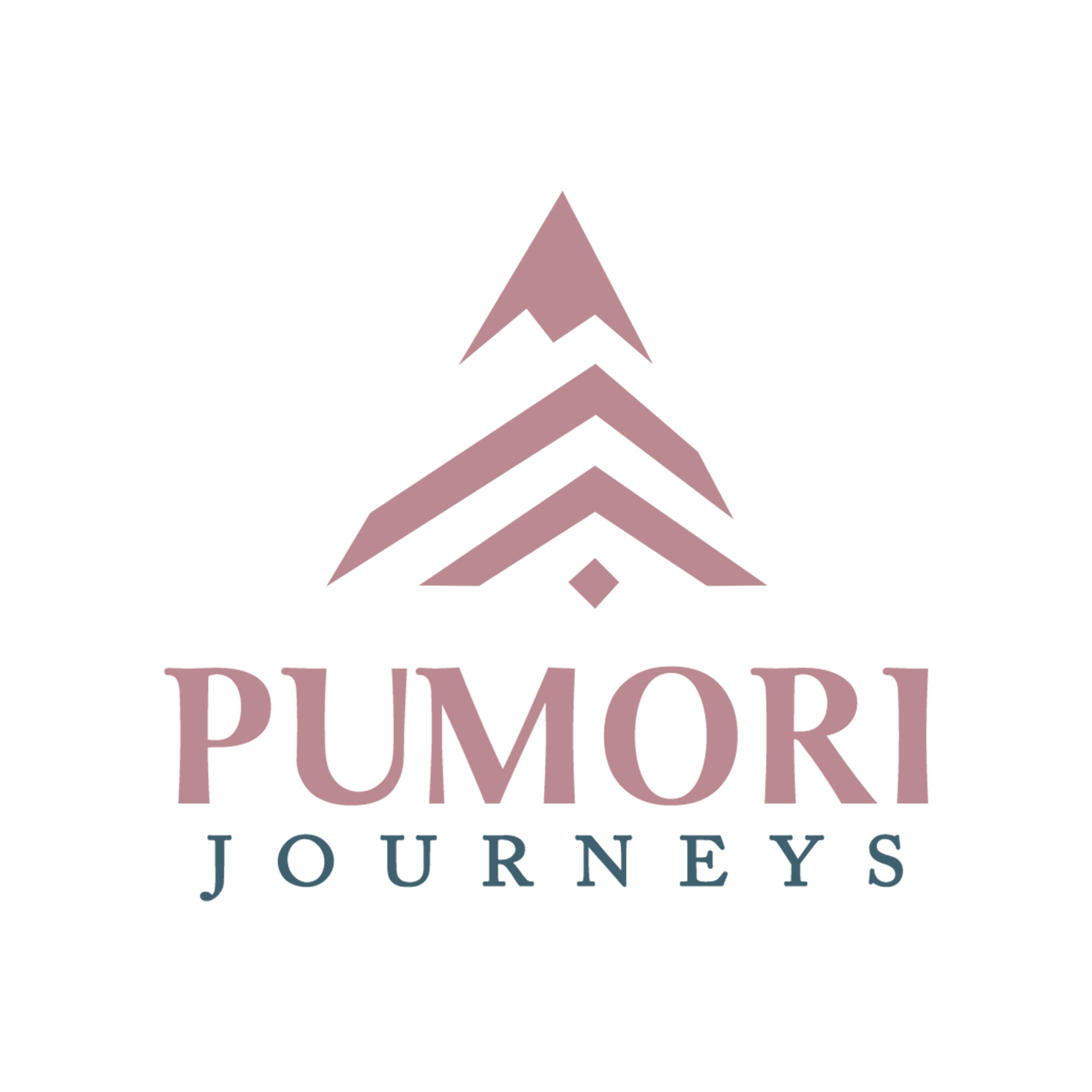 Pumori Journeys