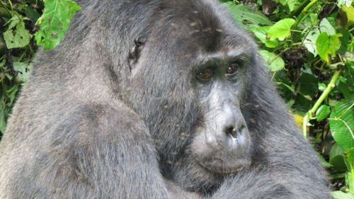 Rwanda