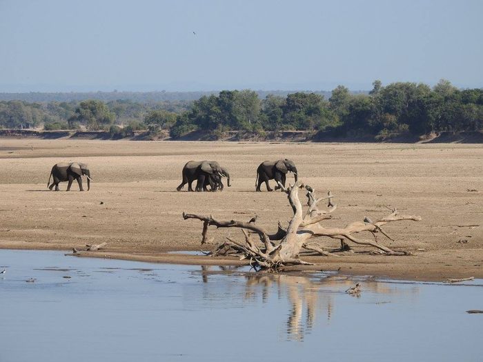 Zambia