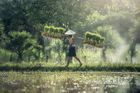 South East Asia - Cambodia, Laos, Myanmar, Vietnam