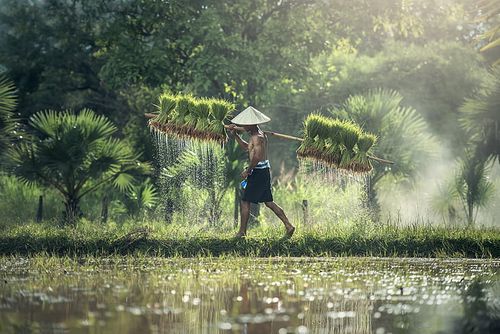South East Asia - Cambodia, Laos, Myanmar, Vietnam