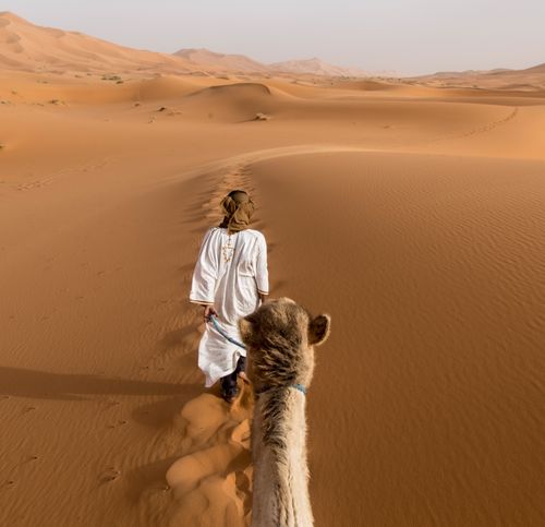 Camel trek