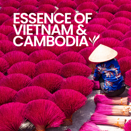 14 Day Asia Small Group Tour
