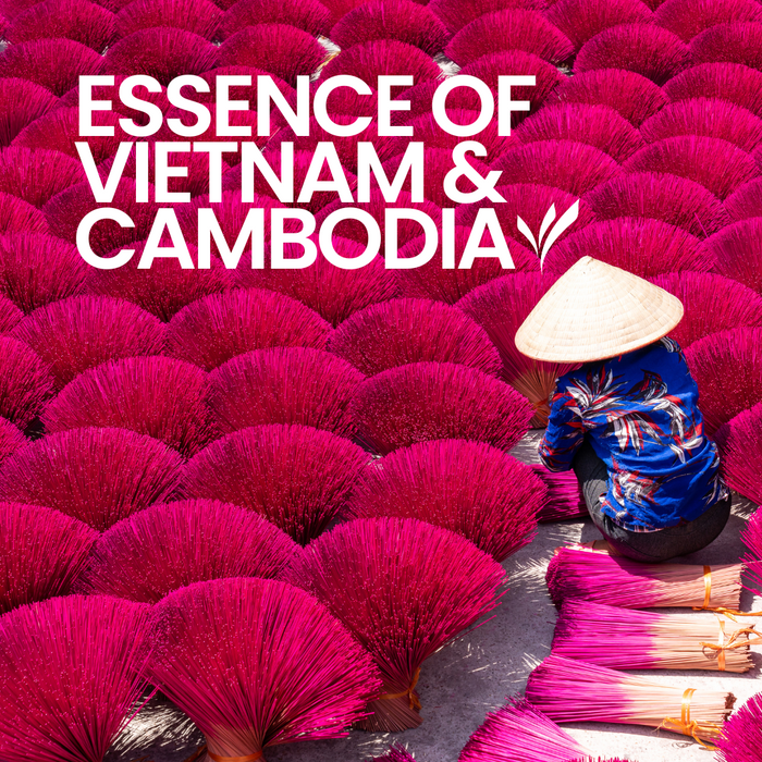 14 Day Asia Small Group Tour