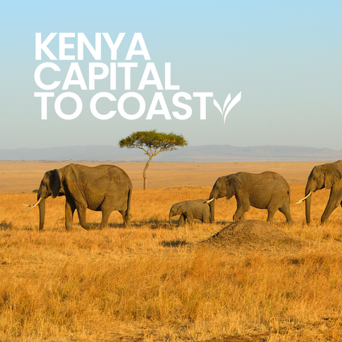 8 Day Kenya Safari Holiday