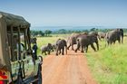8 Day Kenya Safari Holiday