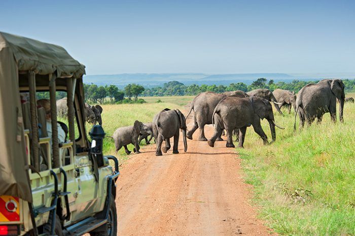 8 Day Kenya Safari Holiday