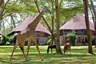 8 Day Kenya Safari Holiday