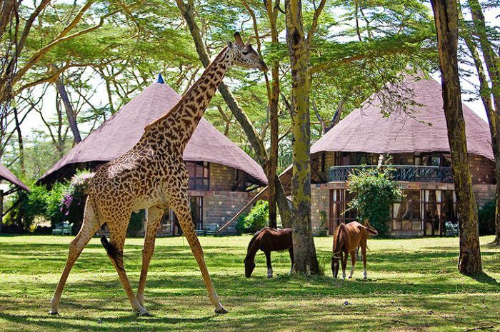 8 Day Kenya Safari Holiday