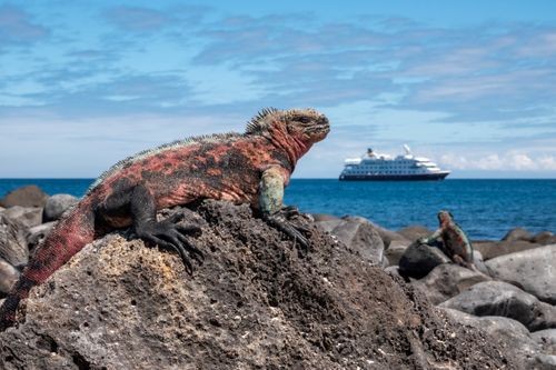Galápagos Islands. Walk in Darwin's footsteps.