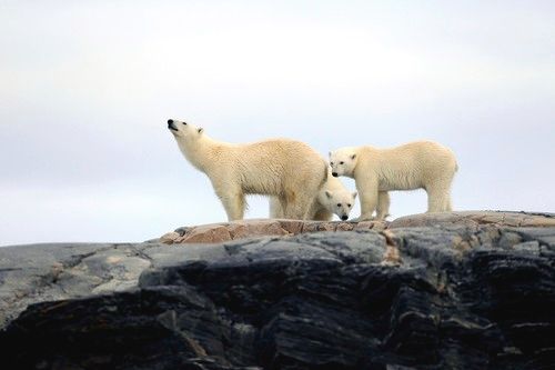 Svalbard. A million miles from ordinary.