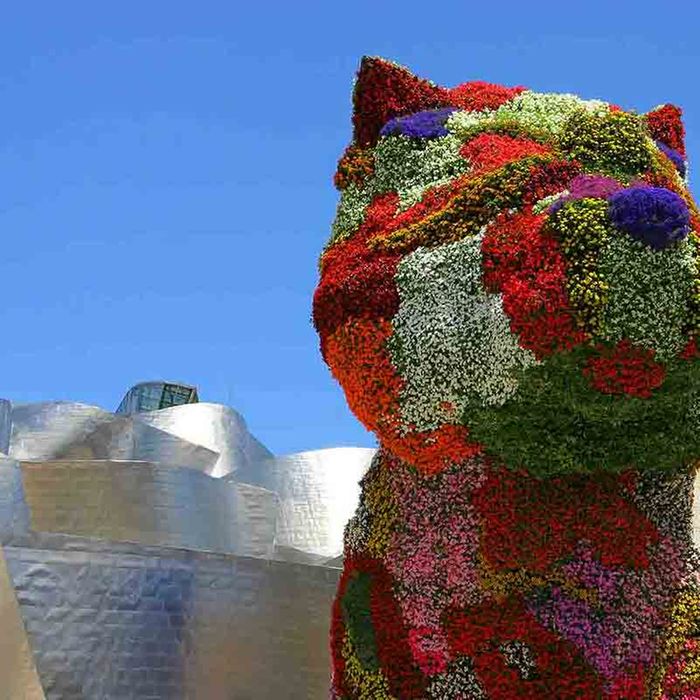Historic Cities & Foothills of Northern Spain