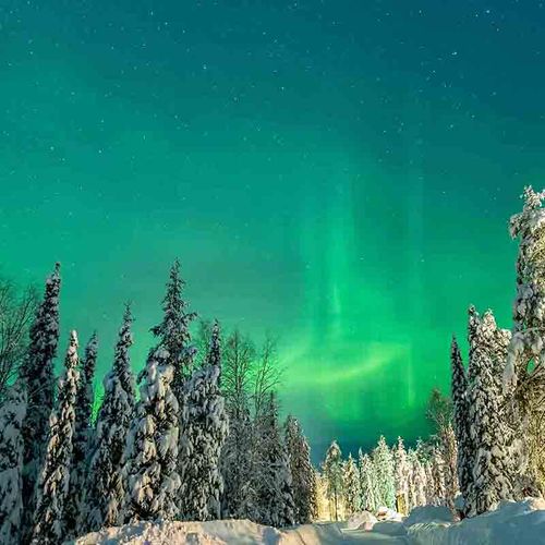 Lapland: the complete winter adventure