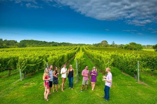Stunning Wineries