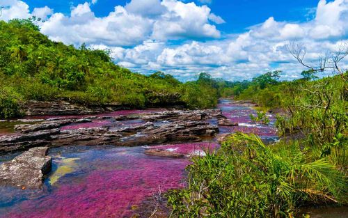 Discover Colombia