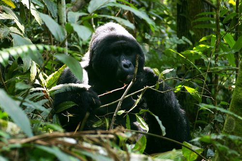 Our Local Tour | Adventure Travel Tours, Tailormade Holidays & Escorted Small Group Trips