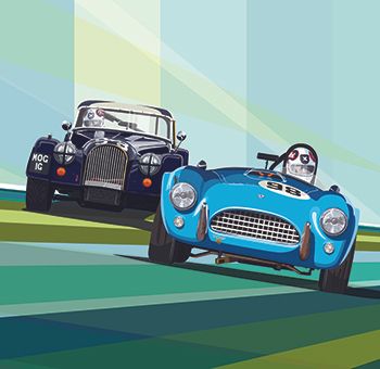 HSCC ROADSPORTS: ACCELERATING AWARENESS, DRIVING DIAGNOSIS AND TREATMENT OF ENCEPHALITIS
