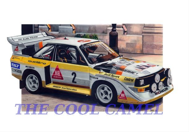 AMS UK - The Cool Camel
