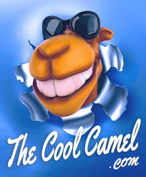 Ian Burdis - AMS UK - The Cool Camel