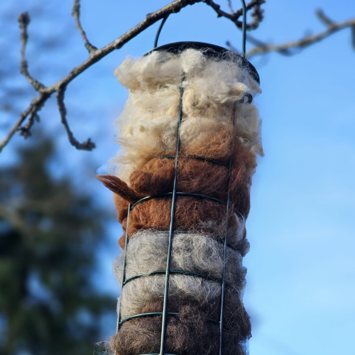 Alpaca bird feeder