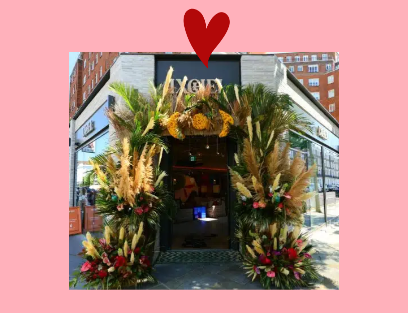 chelsea in bloom