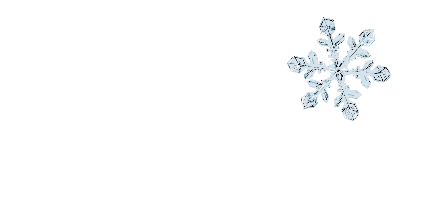 Spirit Logo - White no dates