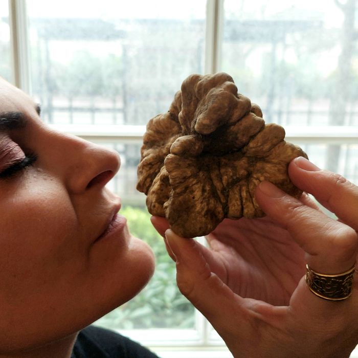 Tuscany and Taste The Ultimate Truffle Experience The one&only Truffle place in London