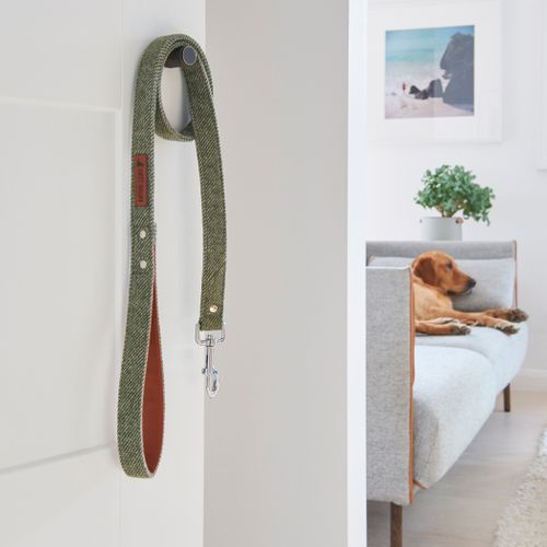 Tweed dog lead
