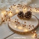 String Lights with Ornaments