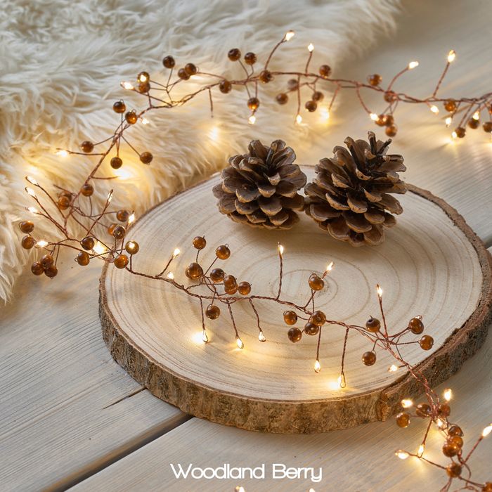 String Lights with Ornaments
