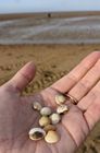 Old Hunstanton Silver Cufflinks