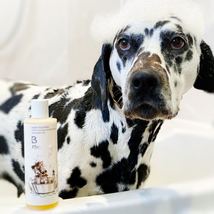 Digby Dog Wash