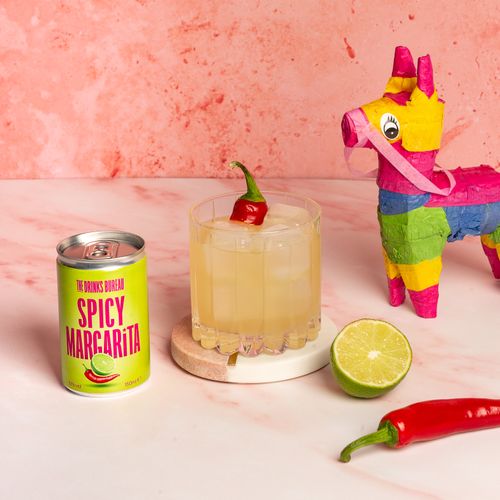Spicy Margarita Cans (4-pack)