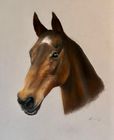 Animal Commissions