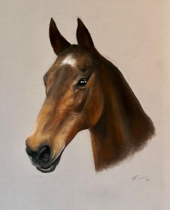 Animal Commissions