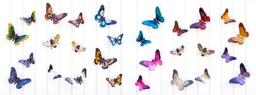 Indoor / outdoor wall mounted attractive butterflies