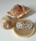 INSPIRED BY NATURE EARRING COLLECTION