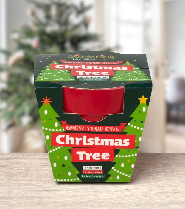 Grow Your Own Christmas Tree