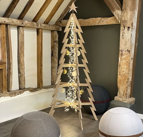 Sustainable Christmas Tree - Extra Large