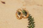 Rebutia Recycled Silver Earrings (Available in Small, Medium and Large)