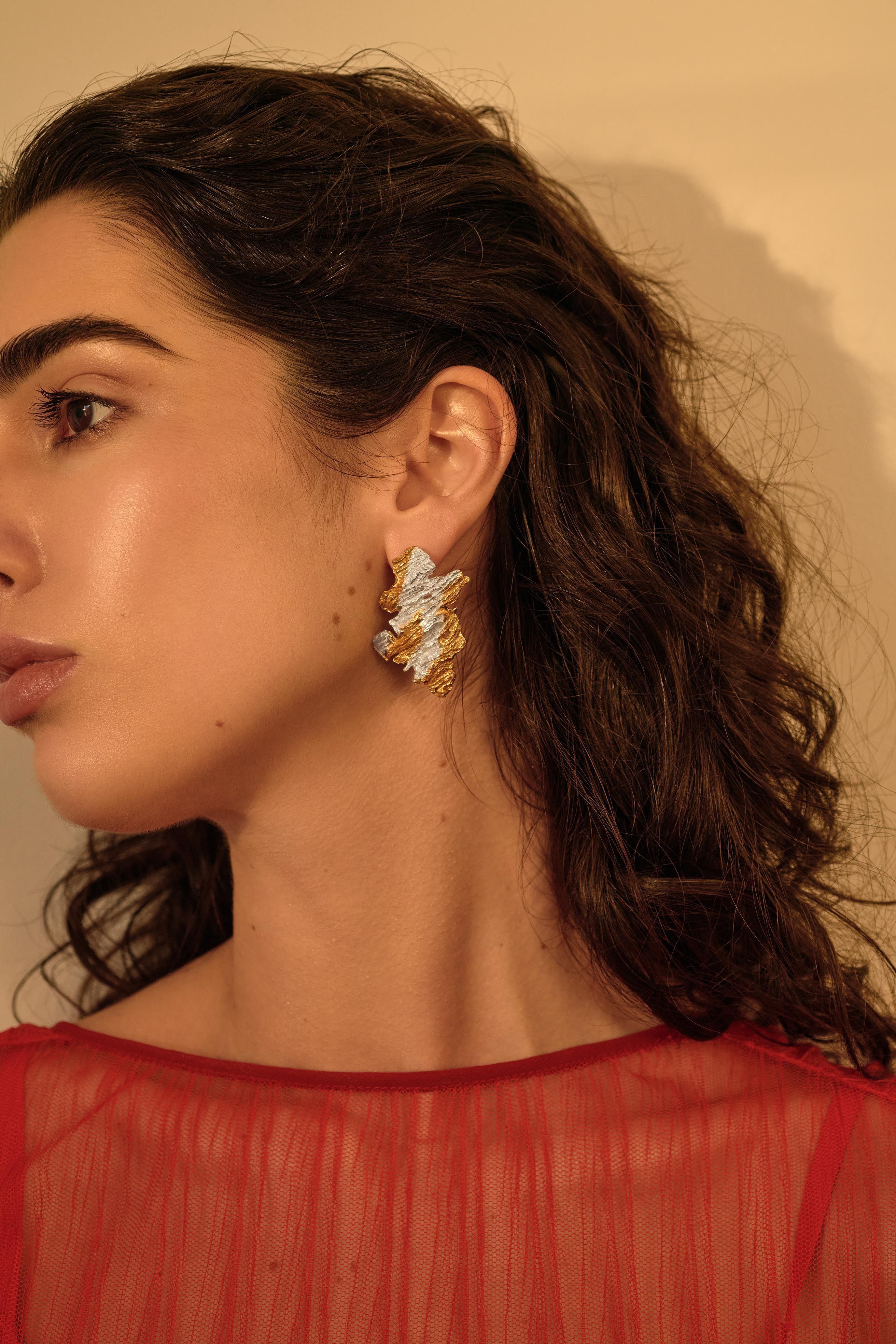 Darya Recycled Silver Earrings