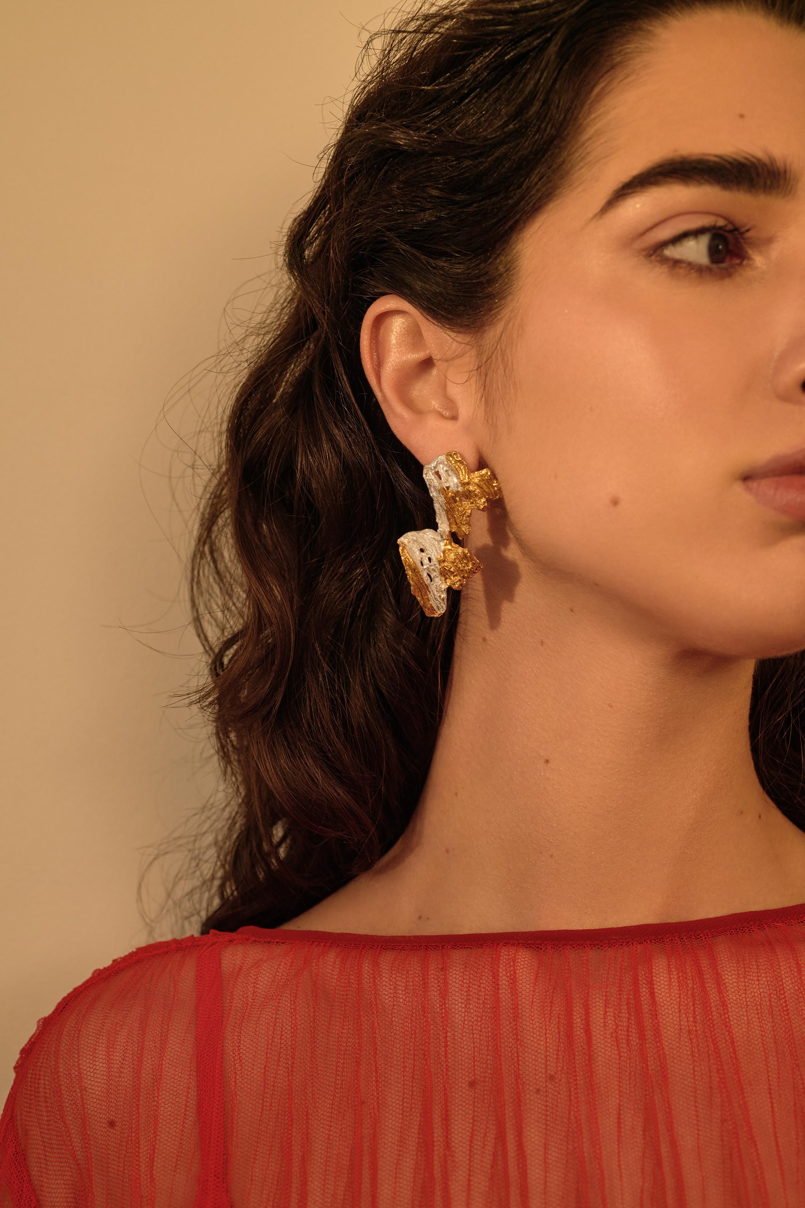 Darya Recycled Silver Earrings