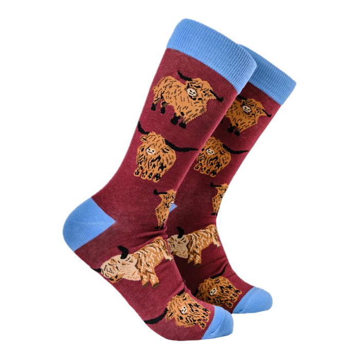 Och Aye the Moo Socks - Highland Cows