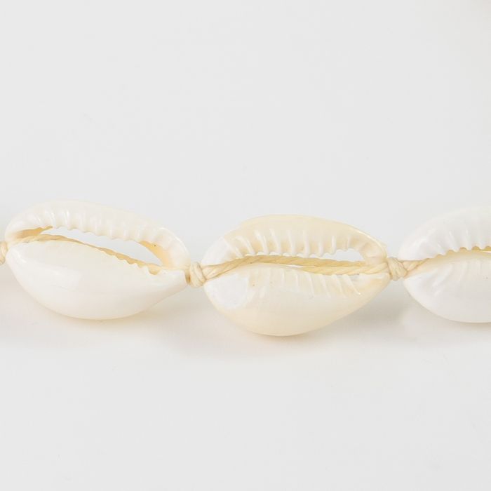 Livadi Cowrie Shell Choker Necklace